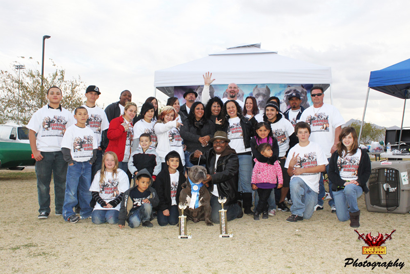 Cock Diesel Kennels, Cock Diesel Bloodline, Arizona Bully Breeder, 1 kennel in the in the world for pockets, xl, extreme, exotic bullys,  blue pitbulls, American Bully,ABKC, United States Bully Breeder