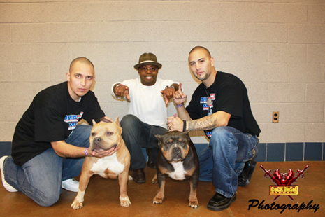 Cock Diesel Kennels, Cock Diesel Bloodline, Arizona Bully Breeder, 1 kennel in the in the world for pockets, xl, extreme, exotic bullys,  blue pitbulls, American Bully,ABKC, United States Bully Breeder