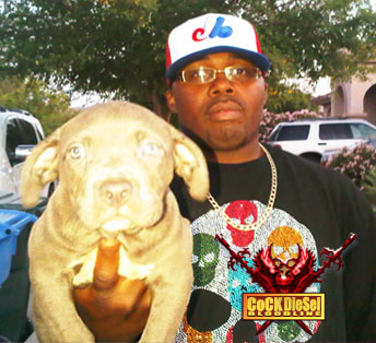 Cock Diesel Kennels, Cock Diesel Bloodline
